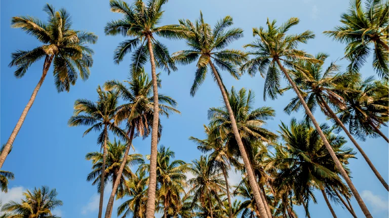 Inversión sostenible en Miami