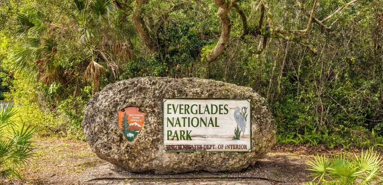 Parque Nacional de los Everglades: Guía definitiva para visitarlo