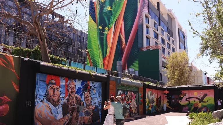 Wynwood Street Art After Dark