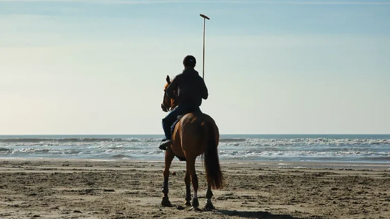Beach Polo World Cup