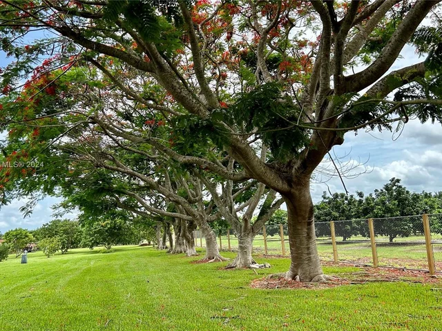 17290 SW 276th St, Homestead FL 33031