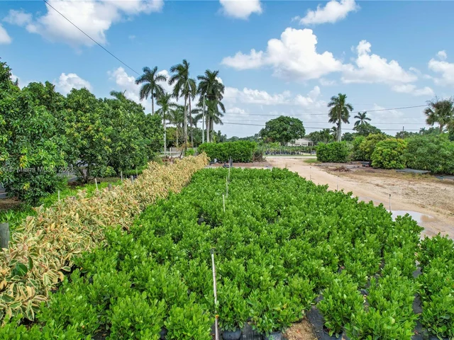 19970 SW 264th St, Homestead FL 33031