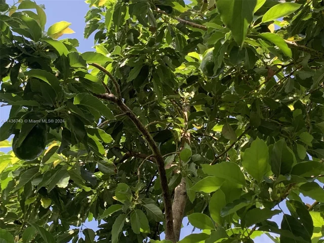 13190 SW 224th St, Miami FL 33170