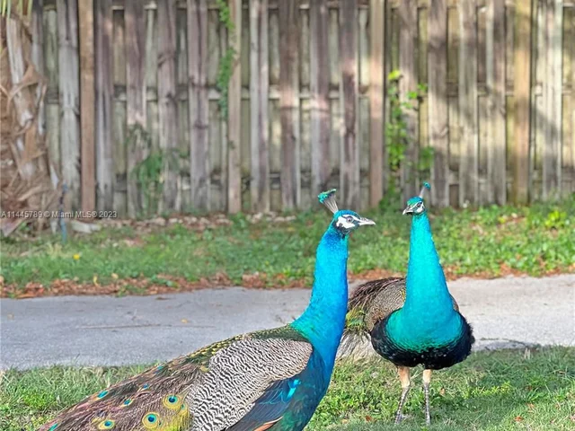 19490 SW 334th St, Homestead FL 33034