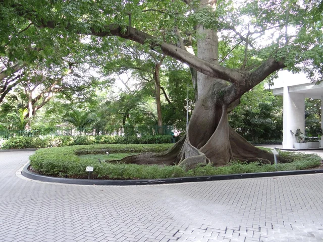 1861 NW S River Dr # 703, Miami FL 33125