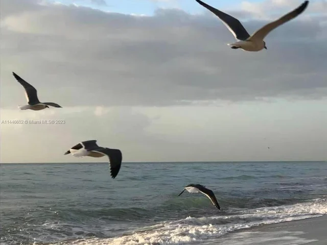 1500 S Ocean Dr # 9J, Hollywood FL 33019