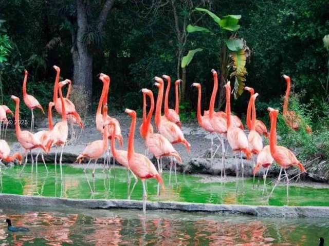 221 NW 12th Ct # 221, Florida City FL 33034