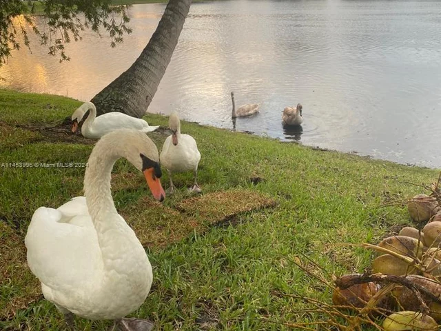 15341 NW 4 ST, Pembroke Pines FL 33028