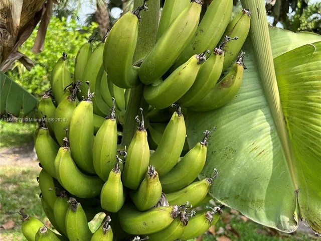 121 Tacoma Ln # 121, Palm Beach Shores FL 33404