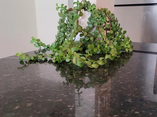 1901 N Andrews Ave # 210, Wilton Manors FL 33311