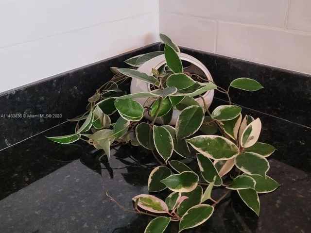 1901 N Andrews Ave # 210, Wilton Manors FL 33311