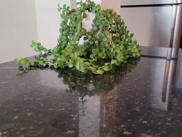 1901 N Andrews Ave # 210, Wilton Manors FL 33311