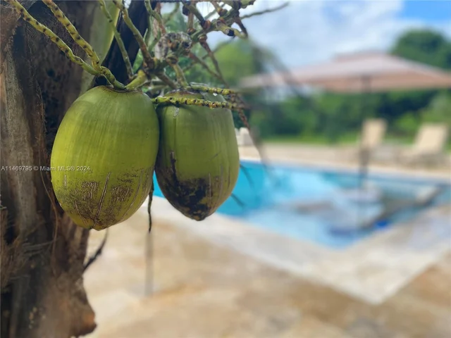 24490 SW 120th Ave, Homestead FL 33032