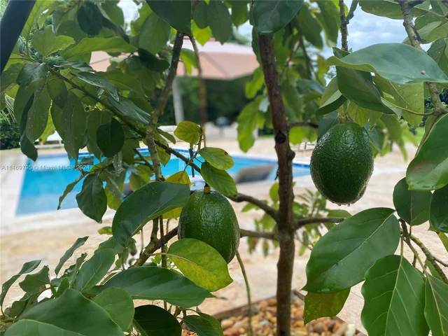 24490 SW 120th Ave, Homestead FL 33032