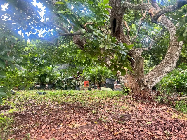 15850 SW 232nd St, Miami FL 33170