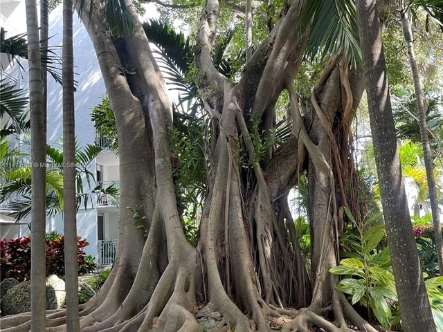 650 NE 64th St # G509, Miami FL 33138