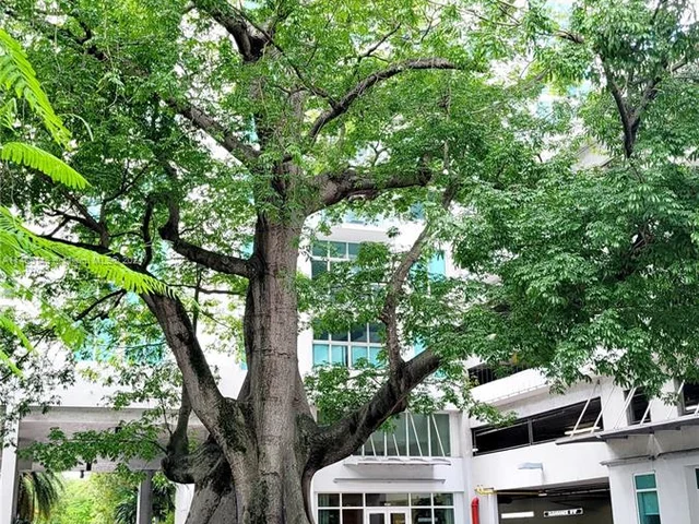 1861 NW S River Dr # 2507, Miami FL 33125