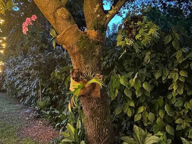 1280 SW 25th Ave # A, Fort Lauderdale FL 33312