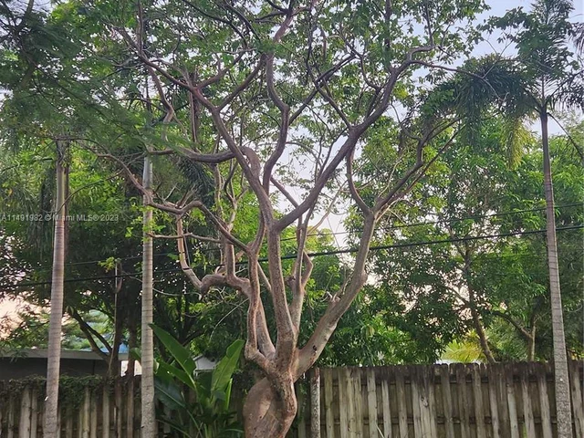 2822 Madison St, Hollywood FL 33020