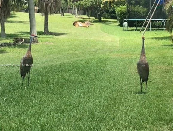 2585 Mayfair Ln, Weston FL 33327