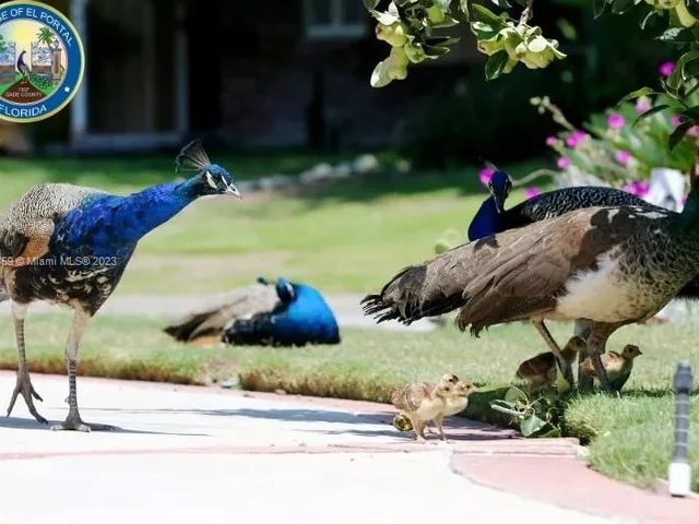 311 NE 90th St, Miami FL 33138