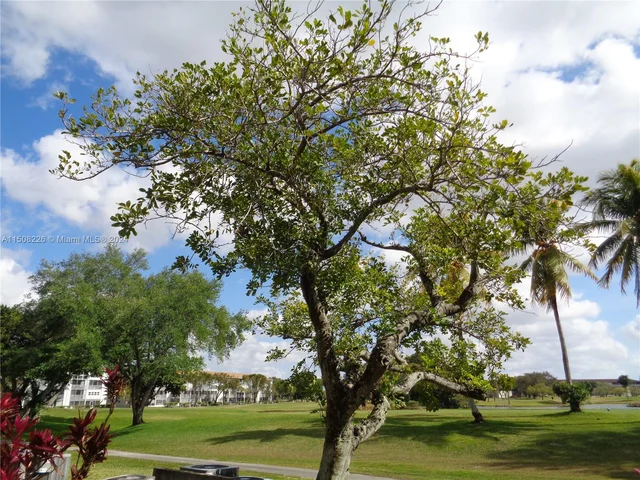 13450 SW 3rd St # 113D, Pembroke Pines FL 33027