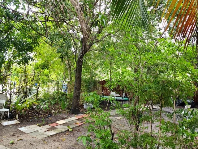 1024 N 24th Ave, Hollywood FL 33020