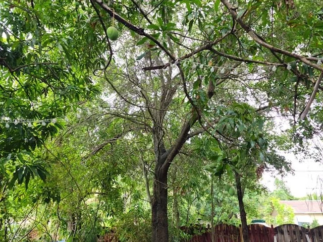 1024 N 24th Ave, Hollywood FL 33020