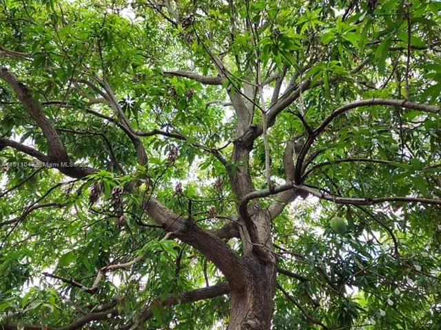 1024 N 24th Ave, Hollywood FL 33020