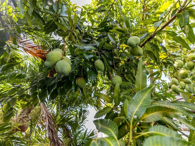 4217 SW 136th Pl # 0, Miami FL 33175