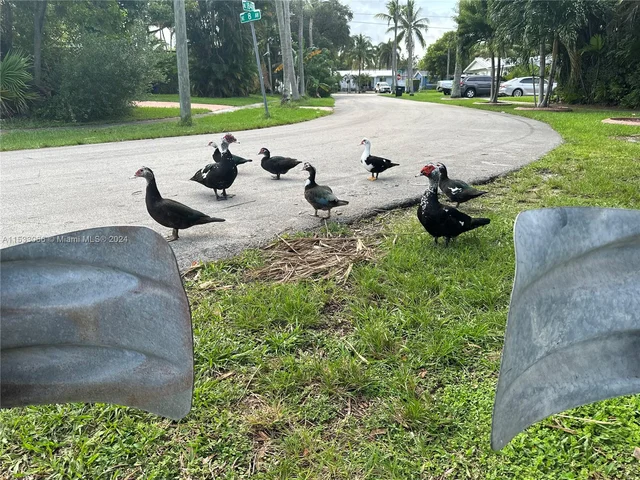 18600 NE 7th Ct # 1, North Miami Beach FL 33179