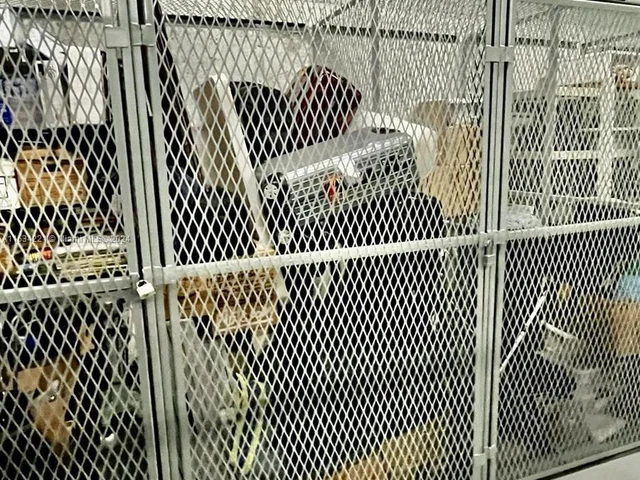 808 Brickell Key Dr # 1508, Miami FL 33131