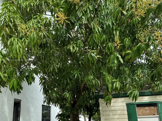 713 SW 7th St, Dania Beach FL 33004