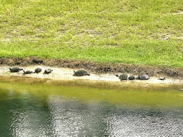 587 Sanderling Cir # 0, Deerfield Beach FL 33442