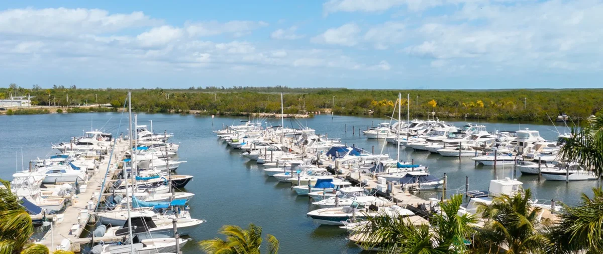 SW 232nd St & SW 130th Ave