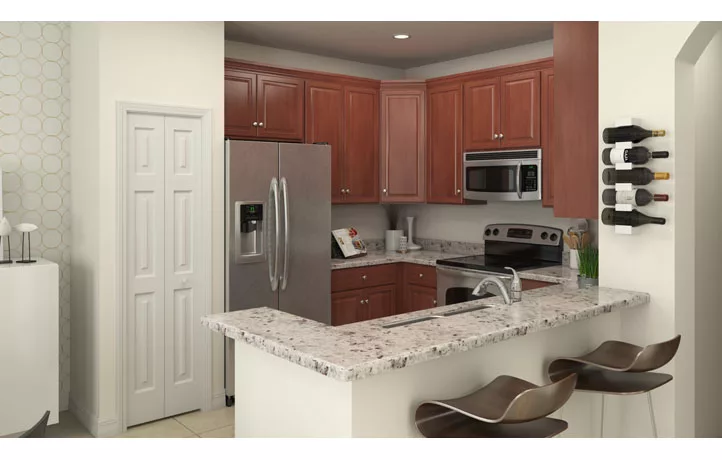 816 West Village Circle Davie