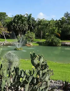 Photo of Pinecrest