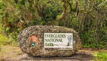 Parque Nacional de los Everglades: Guía definitiva para visitarlo