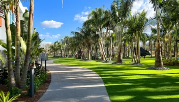 Planes gratis en Orlando