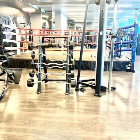 851 NE 1st Ave # 3907, Miami FL 33132