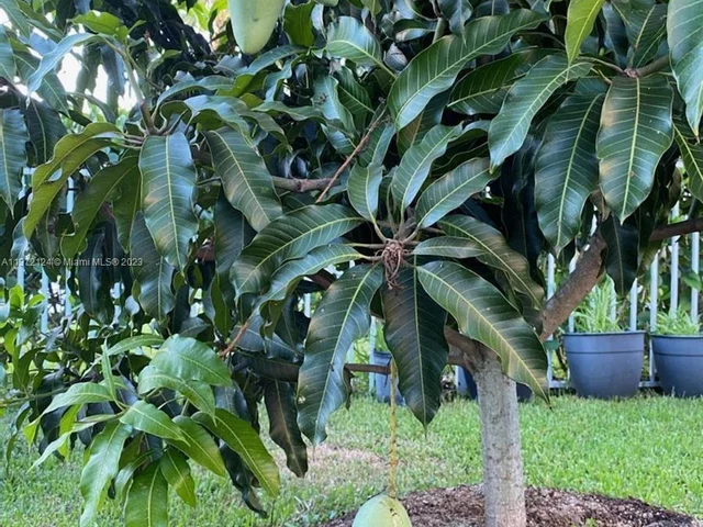 2690 Linkside Drive, Wellington FL 33414