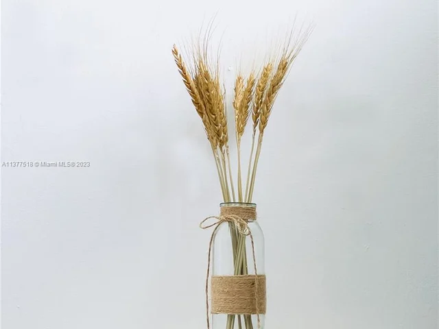 560 NW 47th Ter, Miami FL 33127