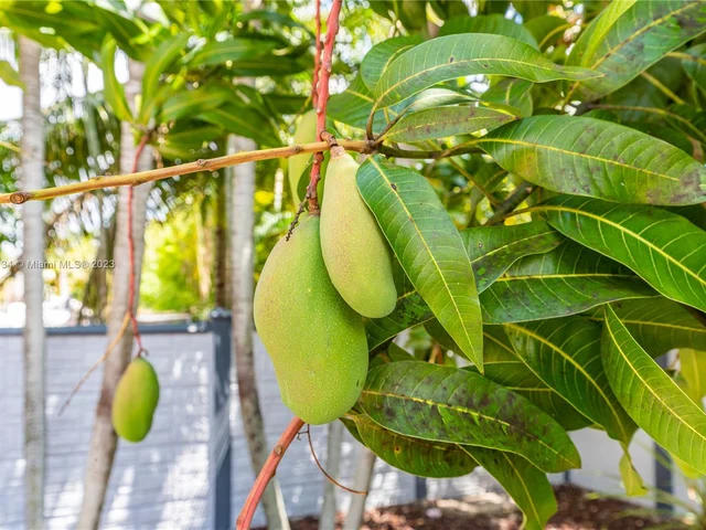 12969 SW 220th Ter, Miami FL 33170