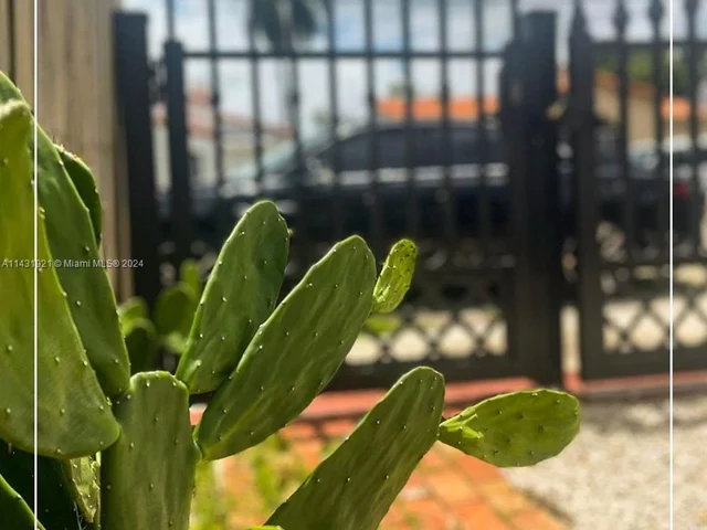 679 NE 87th St, Miami FL 33138