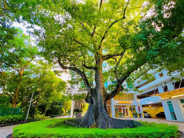 1861 NW South River Dr # 02, Miami FL 33125