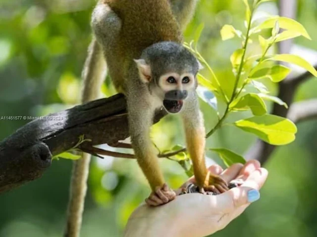 221 NW 12th Ct # 221, Florida City FL 33034