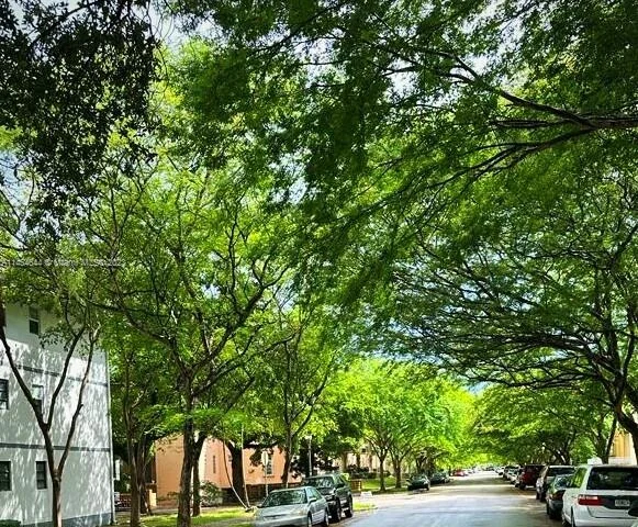 1110 Salzedo St # 1B, Coral Gables FL 33134