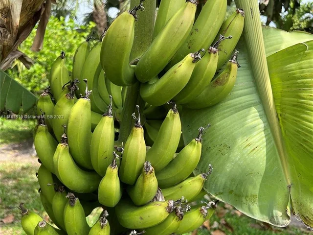 121 Tacoma Ln # 121, Palm Beach Shores FL 33404