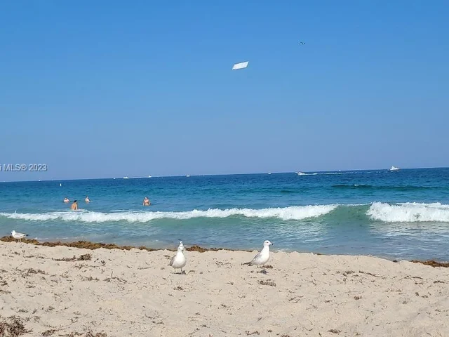 1901 N Andrews Ave # 210, Wilton Manors FL 33311