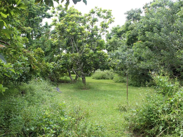 19471 SW 198, Miami FL 33187